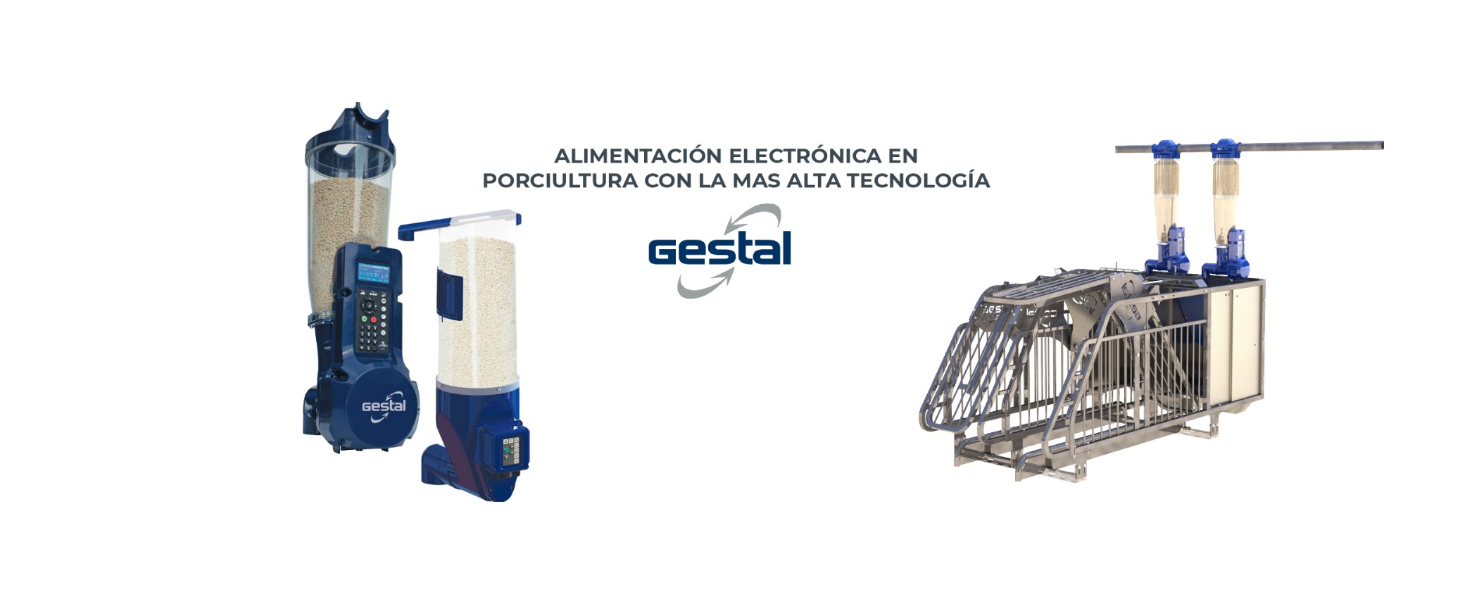 Gestal: alimentación electrónica en porcicultura