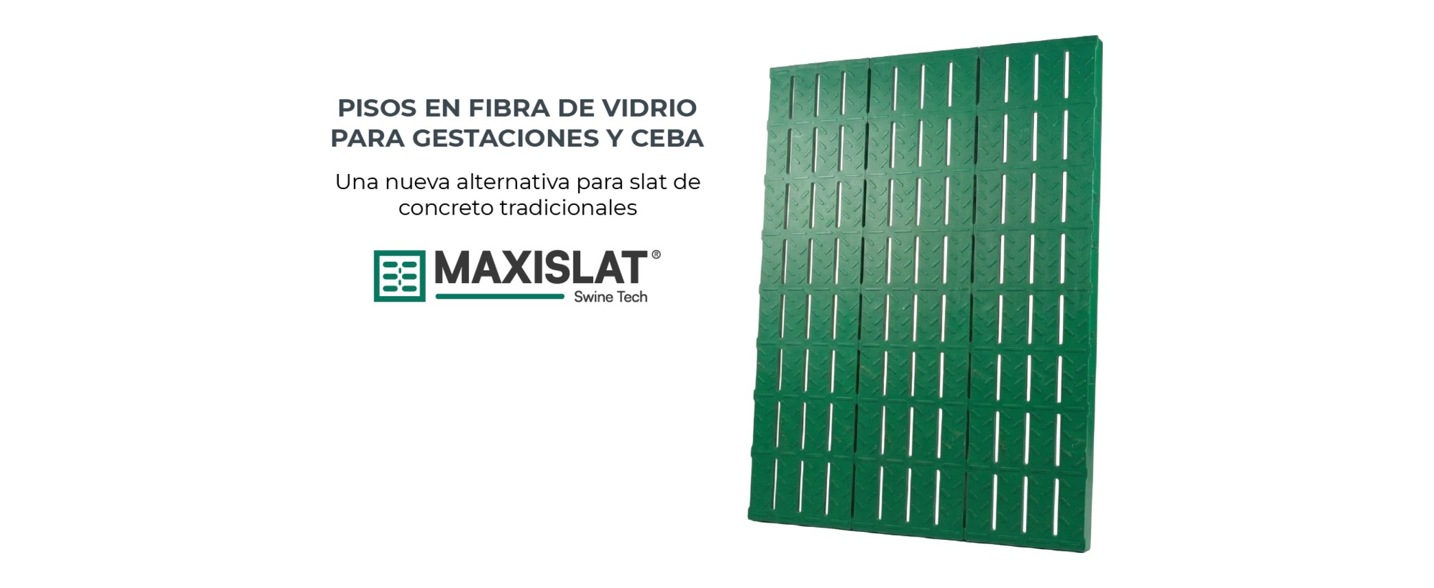 Maxislat: pisos en fibra de vidrio para gestaciones y ceba